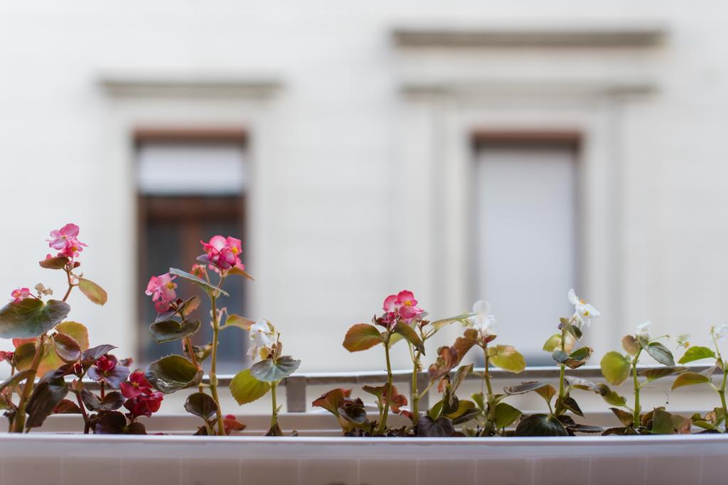 Apartmán Downtown Synagogue Budapešť Exteriér fotografie